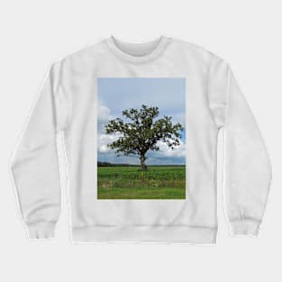 Single Tree In The Wide Open Fields Crewneck Sweatshirt